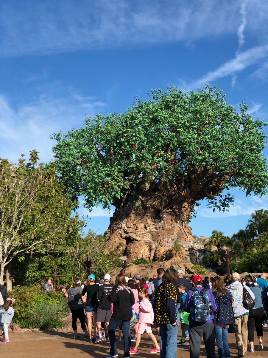 Busch Gardens